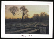 MOIGNY . - Les cressonnières en hiver. Editeur Moigny-sur-Ecole, photographie Yoann Gallais, couleur. 