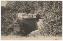 JANVILLE-SUR-JUINE. - Dolmen de la pierre-levée (monument druidique). L des G, 1 mot, 5 c, ad. 