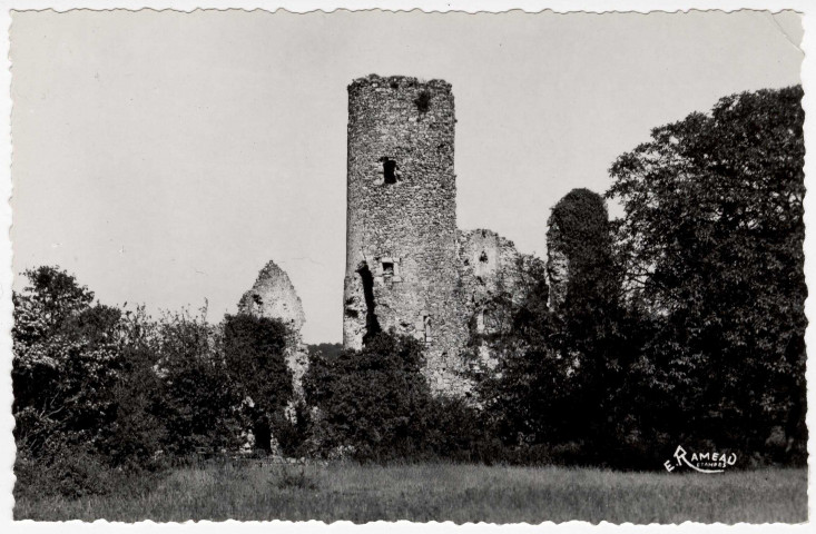VILLECONIN. - Ruines du château de la Grange [Editeur Rameau]. 