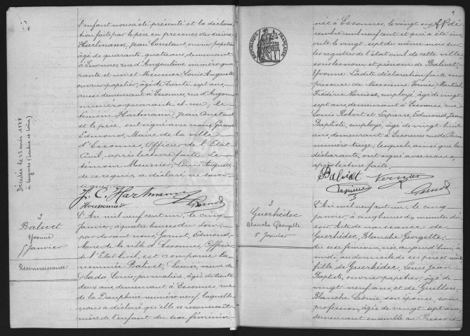 ESSONNES.- Naissances : registre d'état civil (1901-1902). 