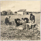 BRETIGNY-SUR-ORGE, Etablissements Clause.- Récolte de poireaux chez des maraichers du sud-ouest, [vers 1950]. 