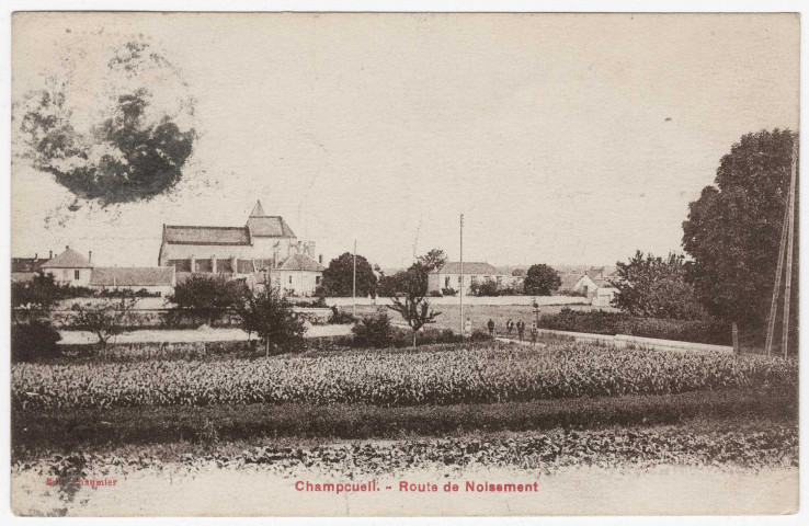 CHAMPCUEIL. - Route de Noissement, Chaumier, 10 mots, 15 c, ad., sépia. 