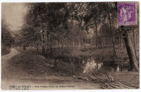 ETIOLLES. - Forêt de Sénart, une coupe, route du Grand-Veneur [Editeur Mulard, timbre à 40 centimes, sépia]. 
