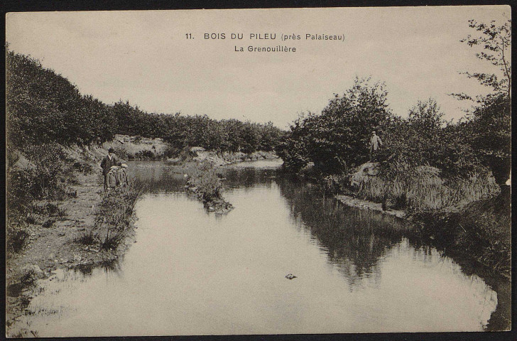 Palaiseau.- Bois du Pileu (près Palaiseau) - La Grenouillère. 