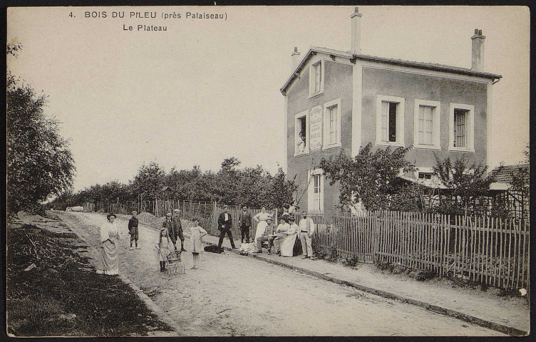 Bois du pileu (près Palaiseau) : Le plateau [1904-1910] 