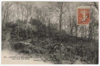 JANVILLE-SUR-JUINE. - Une vue des bois. Viaud (1915), 34 lignes, 10 c. 