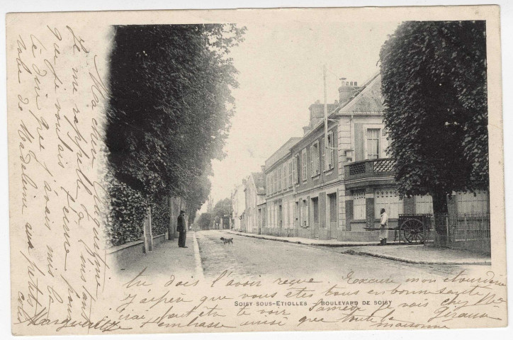 SOISY-SUR-SEINE. - Boulevard de Soisy [1903, timbre à 10 centimes]. 