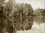 MEREVILLE. - Parc : la colonne Rostrale, vue du bord du lac au midi, (1874). 