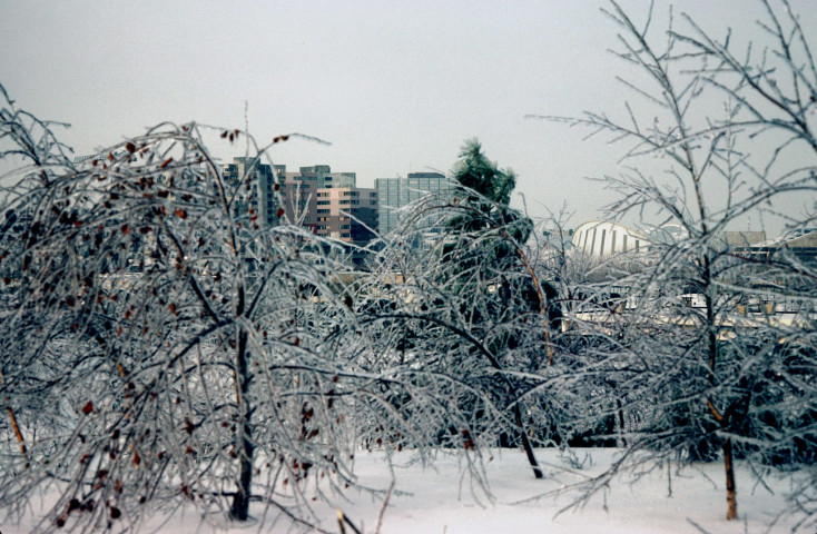 EVRY. - Le parc d'Evry sous la neige : la patinoire de l'Agora et des immeubles (février 1978). 