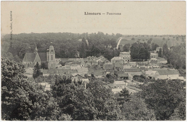 LIMOURS-EN-HUREPOIX. - Panorama. Marais. 