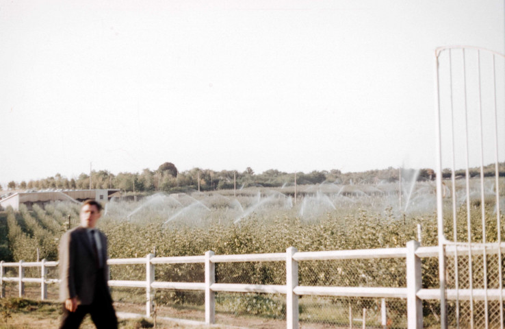 BAZAINVILLE. - BAZAINVILLE [département des Yvelines], arrosage des plantations de pommiers ; couleur ; 5 cm x 5 cm [diapositive] (1961). 