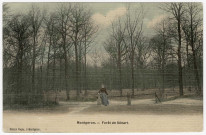 MONTGERON. - Forêt de Sénart [Editeur Pagny, timbre à 5 centimes, coloriée]. 
