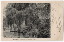 BRUNOY. - Une partie de canot sur l'Yerres, Baillon, 1905, 1 mot, 5 c, ad. 