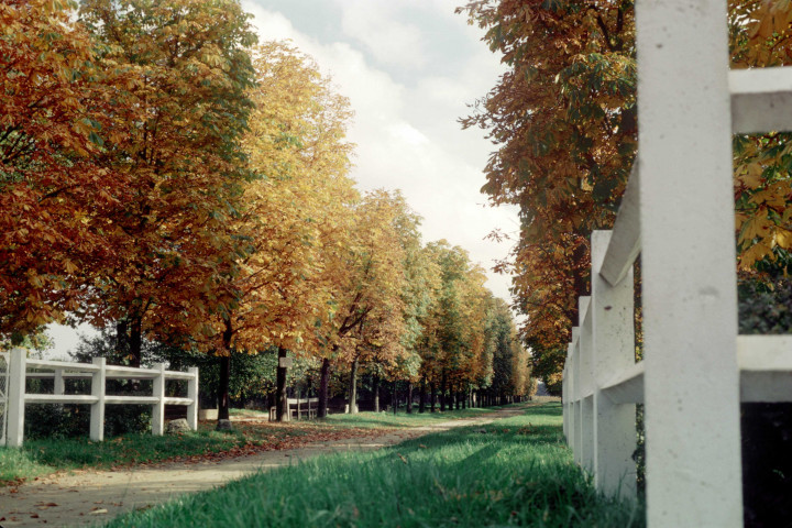 CHEPTAINVILLE. - Parc du château, entrée et avenue ; couleur ; 5 cm x 5 cm [diapositive] (1963). 