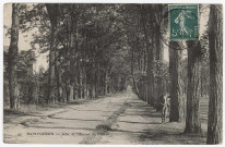MONTGERON. - Allée de l'avenue du château [1910, timbre à 5 centimes]. 