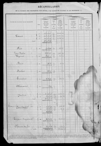 MASSY. - Matrice des propriétés non bâties : folios 1 à 500 [cadastre rénové en 1955]. 