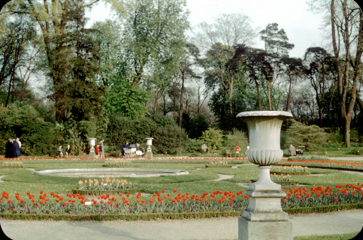 BAGATELLE. - Parc du Domaine, vue d'un parterre de tulipes ; couleur ; 5 cm x 5 cm [diapositive] (1957). 