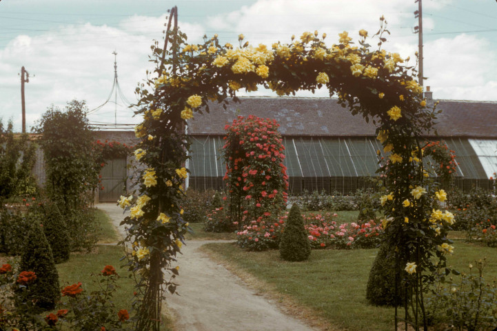 CHEPTAINVILLE. - Jardin du domaine de Cheptainville, roseraie ; couleur ; 5 cm x 5 cm [diapositive] (1962). 
