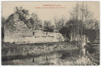 GIRONVILLE-SUR-ESSONNE. - Ruines du vieux château Delà-Yau. 