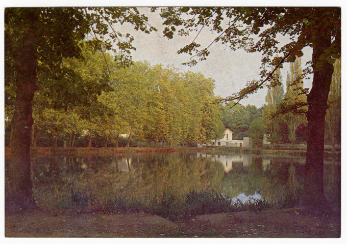 ORSAY. - Les bords du lac. Imprimerie Nicolas à Orsay. 