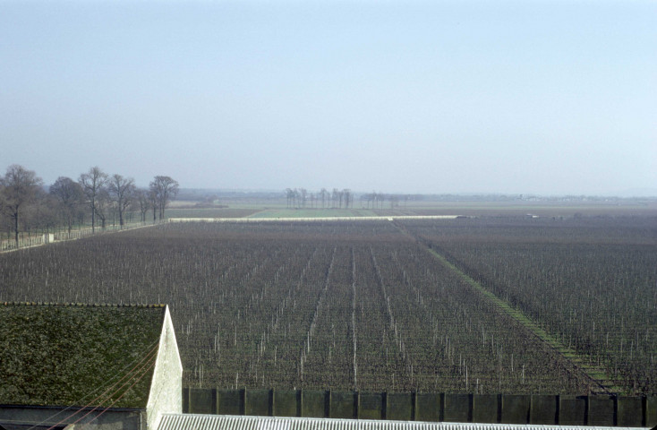 CHEPTAINVILLE. - Domaine de Cheptainville, vue d'ensemble des plantations de vergers ; couleur ; 5 cm x 5 cm [diapositive] (1967). 