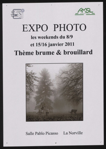 NORVILLE (la).- Expo photo : Thème brume et brouillard, Salle Pablo Picasso, janvier 2011. 