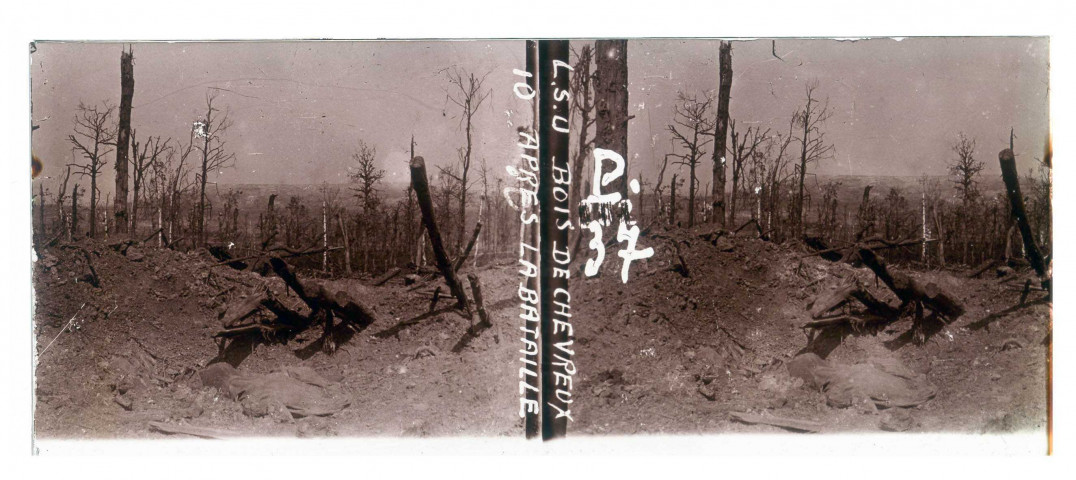 Après la bataille au Bois de Chevreux ((LSU 10) P37)