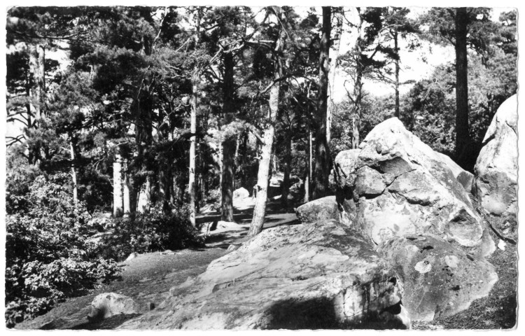 BALLANCOURT-SUR-ESSONNE.- Les rochers (26 février 1963).