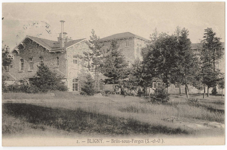 BRIIS-SOUS-FORGES. - Sanatorium de Bligny. Bâtiments. 