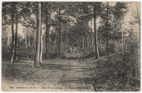 YERRES. - Bois de la Grange. Le repas des faisans [Editeur Mulard]. 