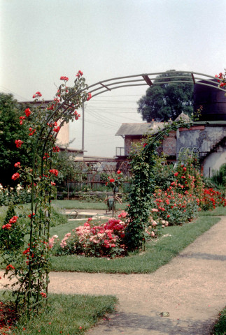 CHEPTAINVILLE. - Jardin du château d'eau, vue partielle de la roseraie ; couleur ; 5 cm x 5 cm [diapositive] (1961). 