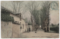 PUSSAY. - Avenue des Tilleuls [Editeur Rumeau, 1907, timbre à 5 centimes, coloriée]. 