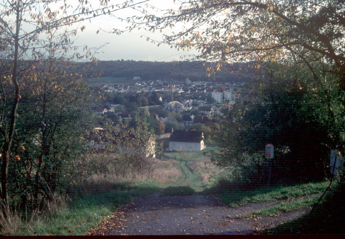 ETRECHY. - Un chemin forestier menant au village : vue générale (novembre 1979). 