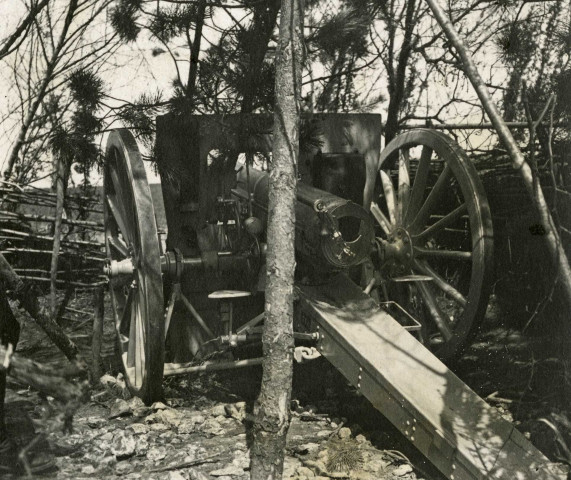 Canon camouflé : photographie noir et blanc.