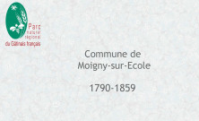 MOIGNY-SUR-ECOLE : registre des délibérations et répertoires 