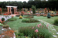 ORLEANS. - Jardin des Roses ; couleur ; 5 cm x 5 cm [diapositive] (1961). 