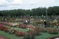 ORLEANS. - Jardin des Roses ; couleur ; 5 cm x 5 cm [diapositive] (1963). 
