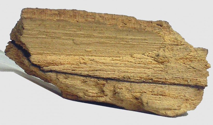 fragment de bois frappé par la foudre dans une enveloppe