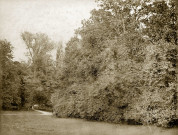 MEREVILLE. - Parc : vue du grand massif du bassin Maurice, prise du verger, (1874). 