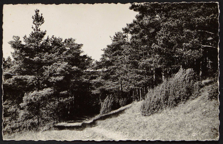 Boissy-la-Rivière.- Un chemin (1960). 