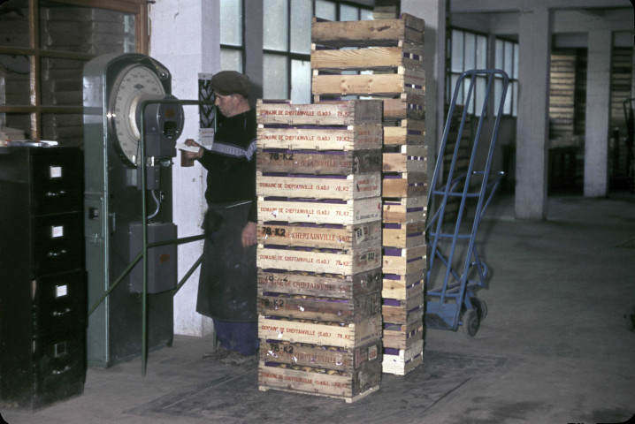 CHEPTAINVILLE. - Domaine de Cheptainville, récolte des poires, pesée ; couleur ; 5 cm x 5 cm [diapositive] (1962). 