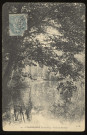 CHAMARANDE. - Coin de rivière. Editeur P. Royer, Etampes, 1906, 1 timbre à 5 centimes, 3 mots. 