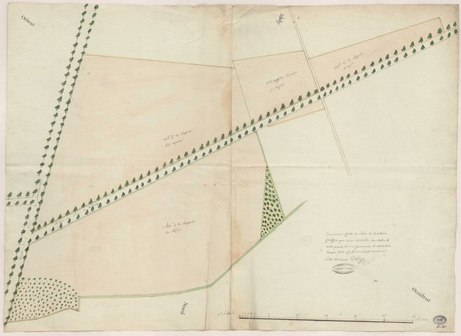 Plan du domaine de TROUSSEAU à RIS-ORANGIS, par DELORGE. Deuxième feuille, [an III]. Ech. 40 perches. Coul. Dim. 0,51 x 0,70. 