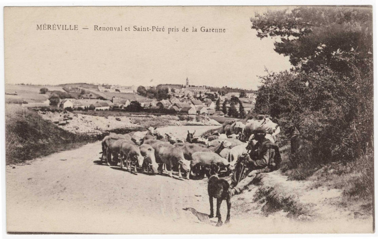 MEREVILLE. - Renonval et Saint-Père pris de la garenne, troupeau de moutons, [Editeur Bréger]. 