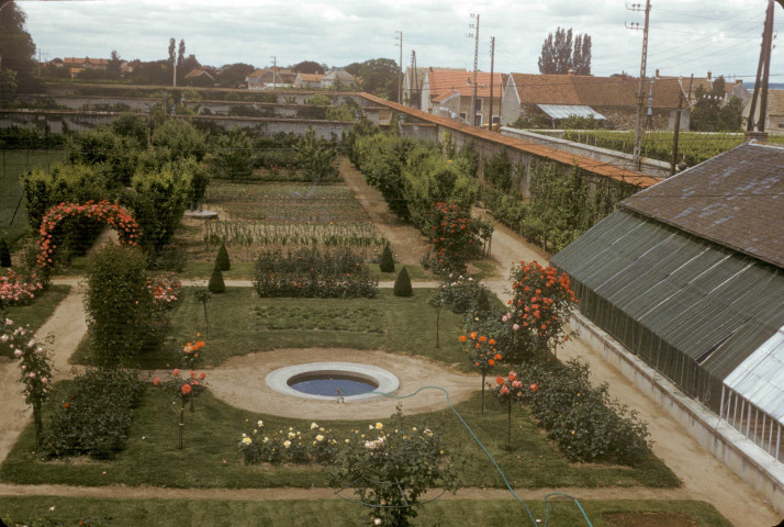 CHEPTAINVILLE. - Roseraie du jardin ; couleur ; 5 cm x 5 cm [diapositive] (1962). 