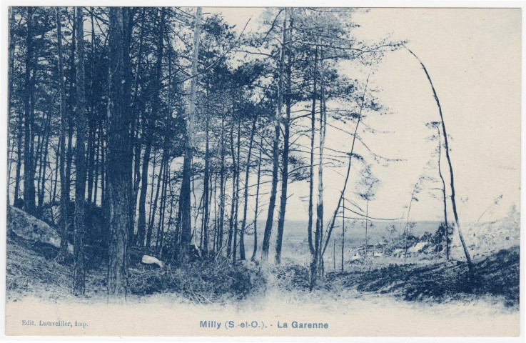 MILLY-LA-FORET. - Le bois de la Garenne [Editeur Lutzveiller, bleue]. 