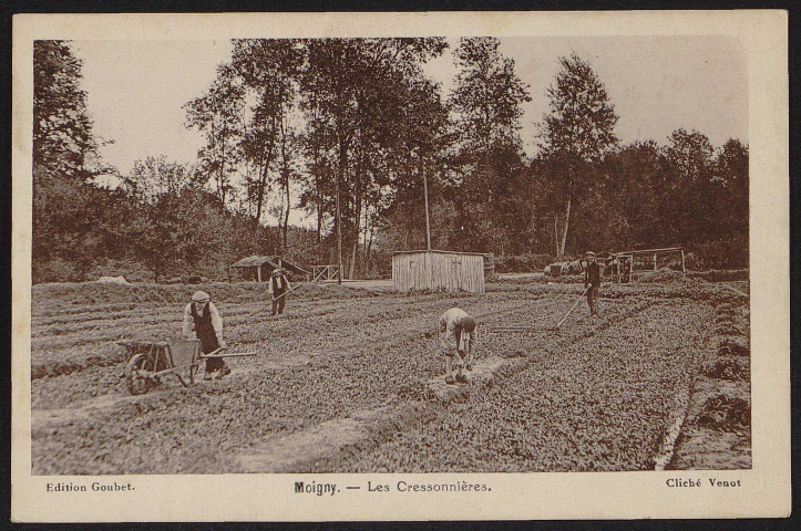 MOIGNY-SUR-ECOLE.- Les cressonnières [1920-1930].