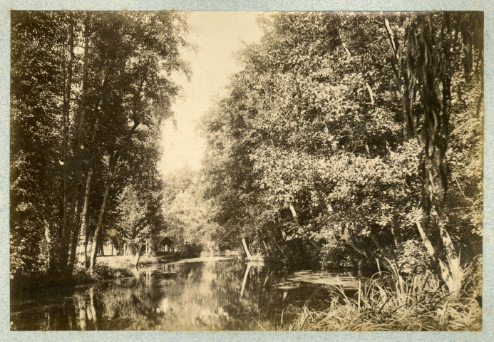 YERRES.- Une vue du parc Caillebotte, [vers 1890], N et B. Dim. 12 x 17,5 cm. 