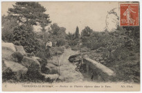 VERRIERES-LE-BUISSON. - Rocher de plantes alpines dans le parc Vilmorin [Editeur ND, 1918, timbre à 10 centimes]. 