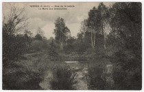 YERRES. - Bois de Grosbois. La mare aux Grenouilles [Editeur Mulard, 1927]. 